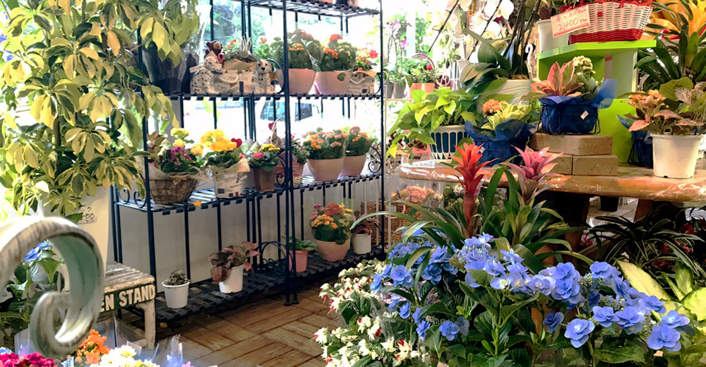 花だより 本店・サンシャイン四万十店の紹介